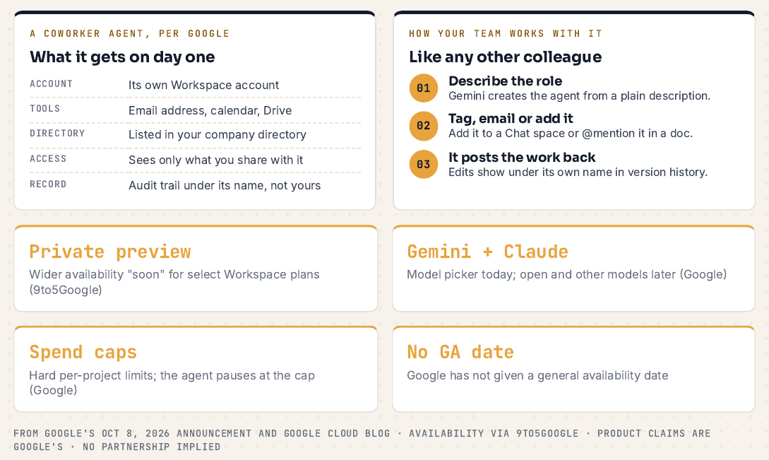 Two cards: what a coworker agent gets on day one (its own Workspace account, email, calendar, Drive, directory listing, access only to what you share, an audit trail under its name) and how a team works with it (describe the role, tag or email it, it posts the work back), above four notes on private preview, Gemini plus Claude, spend caps and no GA date.